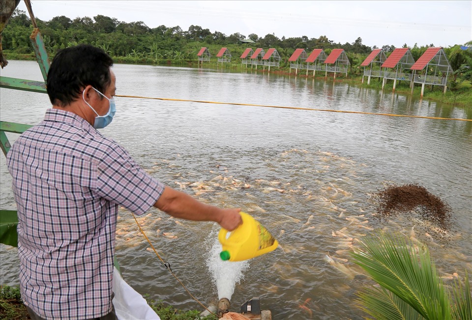 Mặc dù đã có nguồn thu mới nhưng Khu du lịch sinh thái Phước Sơn vẫn cần sự hỗ trợ từ ngân hàng để vượt qua khó khăn. Ảnh: Phan Tuấn