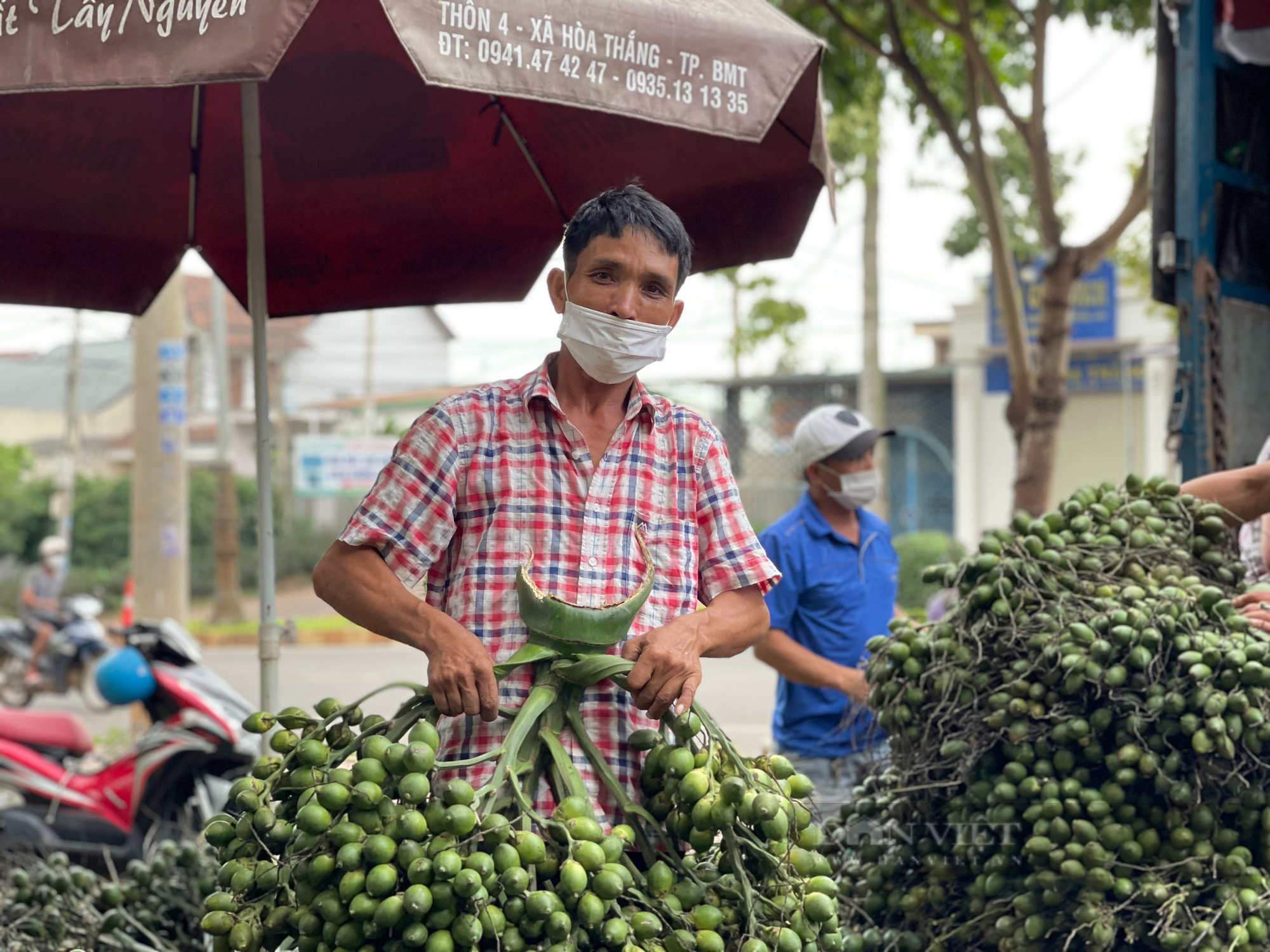 Các thương lái đổ xô đi mua cau đẩy giá cau tươi ở các tỉnh Tây Nguyên lên 60.000 - 80.000đ/kg. Ảnh: N.G