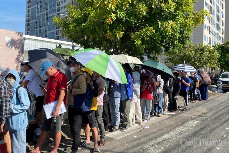 Hàng dài người dân xếp hàng từ trong văn phòng ra đến tận ngoài đường, đứng giữa nắng nóng đợi đến lượt nộp hồ sơ mua nhà.