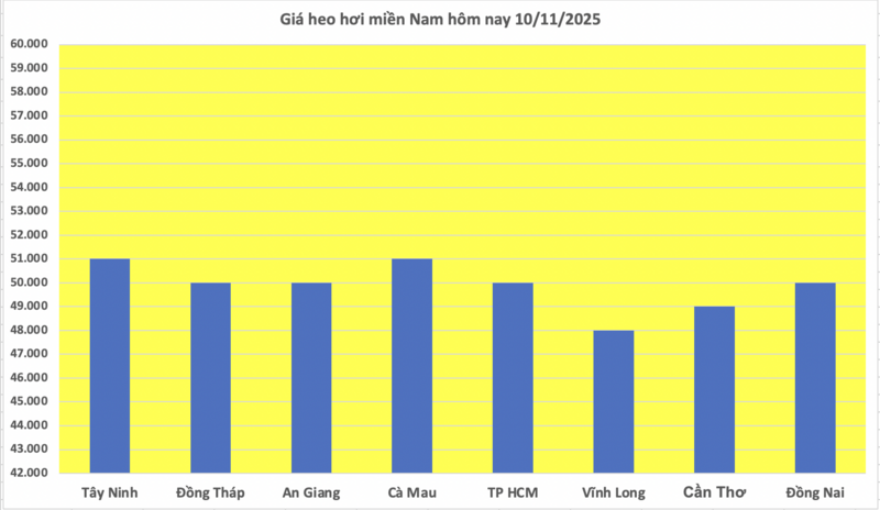 Giá heo hơi hôm nay 10/11/2025: Phiên đầu tuần lặng sóng - 3