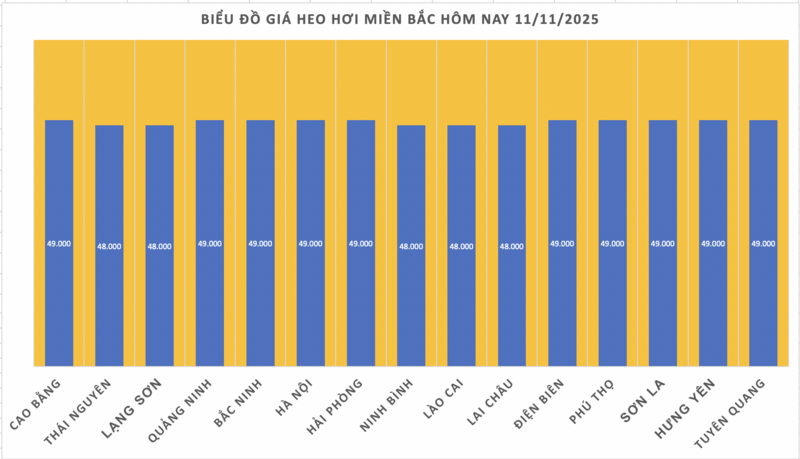 Giá heo hơi hôm nay 11/11/2025: Đồng loạt giảm 1.000 đồng/kg - 1