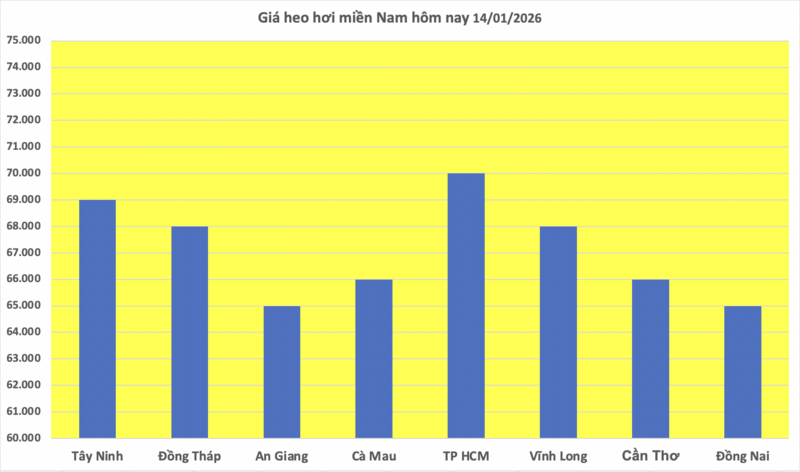 Giá heo hơi hôm nay 14/1/2026: Miền Bắc lập đỉnh mới 76.000 đồng/kg - 3