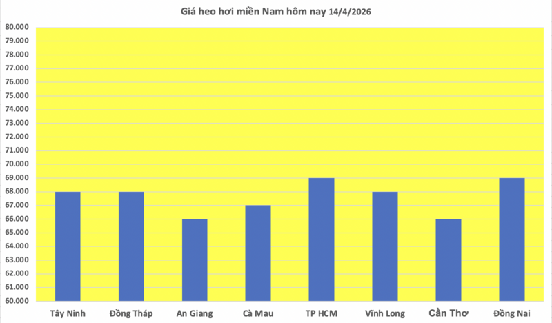 Giá heo hơi hôm nay 14/4/2026: Tiếp tục neo cao - 3
