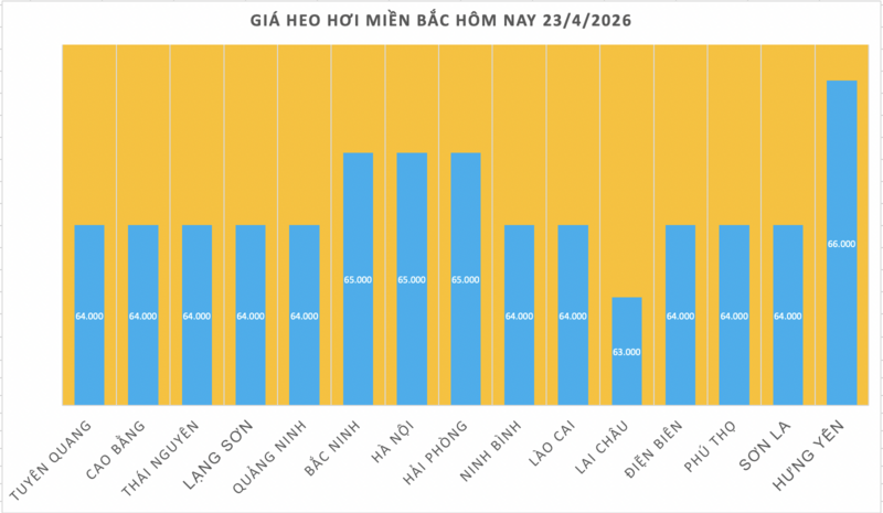Giá heo hơi hôm nay 23/4/2026: Tăng nhẹ tại Cần Thơ - 1