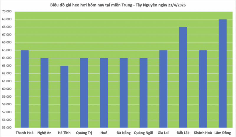 Giá heo hơi hôm nay 23/4/2026: Tăng nhẹ tại Cần Thơ - 2