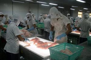 Xuất khẩu thủy sản: “Điểm sáng” thị trường Mexico, Tây Ban Nha