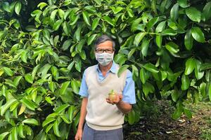 ''Ông trùm'' măng cụt xứ B'Lao