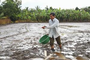 Thuế VAT với mặt hàng phân bón: Bài 1: Những trăn trở từ đồng ruộng