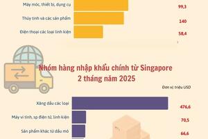 Infographic | Xuất nhập khẩu Việt Nam - Singapore đạt 1,77 tỷ USD