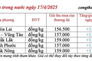 Giá tiêu hôm nay 17/4/2025, trong nước duy trì mức tăng