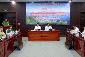 Đà Nẵng: Ứng dụng công nghệ hiện đại bảo vệ và phát triển rừng
