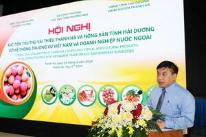 Hải Dương tích cực xúc tiến thương hiệu vải thiều Thanh Hà