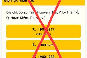 EVNNPC cảnh báo khẩn trang web giả mạo lừa đảo khách hàng