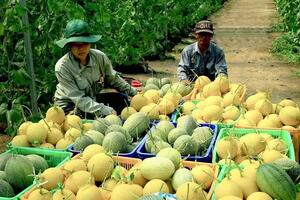 Bình Dương: Huyện Phú Giáo có thêm 12 sản phẩm OCOP 3 sao