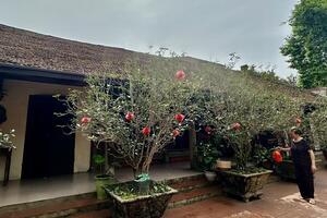 Phú Thọ: Từ sản phẩm địa phương đến sinh kế bền vững