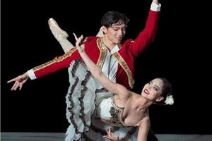 Sắp công diễn vở ballet Don Quixote