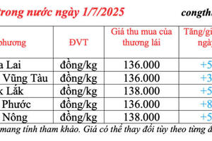 Giá tiêu hôm nay 1/7/2025: trong nước lấy lại đà tăng cao