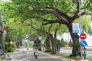 Đặc khu đảo duy nhất của TP. Hồ Chí Minh có gì đặc biệt?