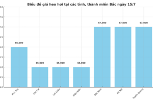Giá heo hơi hôm nay 15/7/2025: Miền Bắc giảm nhẹ
