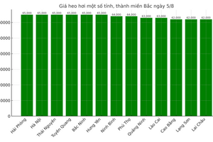 Giá heo hơi hôm nay ngày 5/8/2025: Bất ngờ đi ngang trên cả 3 miền