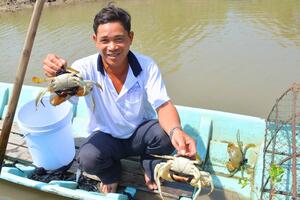 Cà Mau đầu tư hơn 500 tỷ đồng phát triển thủy sản bền vững