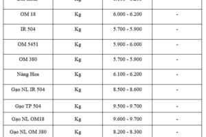 Giá lúa gạo hôm nay ngày 22/8: Gạo đi ngang, lúa tươi chững giá
