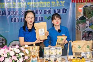 Liên kết chuỗi - Chiến lược tiêu thụ bền vững cho sản phẩm OCOP