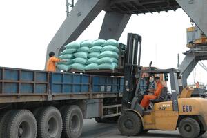 Philippines tạm dừng nhập khẩu gạo, Bộ Công Thương khuyến cáo doanh nghiệp