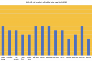 Giá heo hơi hôm nay 16/9/2025: Giảm tại nhiều vùng