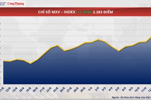 Giá cà phê Arabica vượt mốc 9.000 USD/tấn