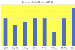 Giá heo hơi hôm nay 10/10/2025: Giảm mạnh tại miền Nam