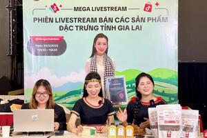 Chuyển đổi số thúc đẩy tiêu thụ, quảng bá sản phẩm vùng cao Gia Lai