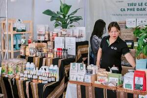 Gia Lai 'tiếp sức' cho các sản phẩm công nghiệp nông thôn tiêu biểu
