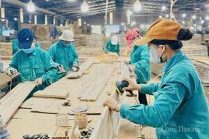 Gia Lai: Đồng bộ giải pháp, tạo đà cho xuất khẩu bứt phá