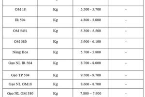 Giá lúa gạo hôm nay ngày 24/10: Gạo bình ổn, Lúa tươi vững giá