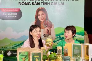 Gia Lai tạo môi trường minh bạch, đưa thương mại điện tử phát triển