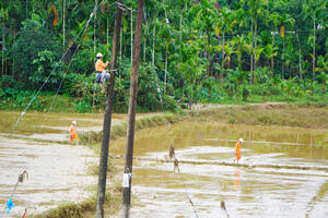 PC Quảng Ngãi: Nỗ lực cấp điện lại cho khách hàng sau mưa lũ