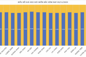 Giá heo hơi hôm nay 3/11/2025: Ổn định trên cả ba miền