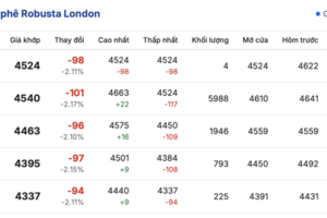 Giá cà phê hôm nay 3/11/2025: Trong nước đi ngang