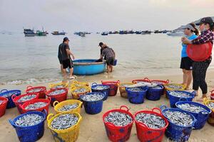 Gia Lai nâng mức ứng phó, chủ động bảo vệ người dân trước bão Kalmaegi