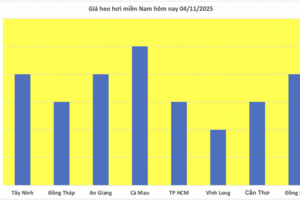 Giá heo hơi hôm nay 4/11/2025: Duy trì ổn định
