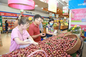 Sơn La phát triển vùng nguyên liệu nông sản đạt chuẩn xuất khẩu