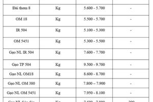 Giá lúa gạo hôm nay ngày 7/11: Gạo xuất khẩu biến động, lúa chững giá