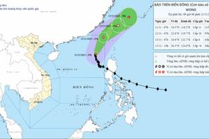 Sức gió mạnh nhất vùng gần tâm bão số 14 mạnh cấp 12