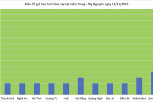 Giá heo hơi hôm nay 12/11/2025: Tiếp tục giảm nhẹ nhiều nơi