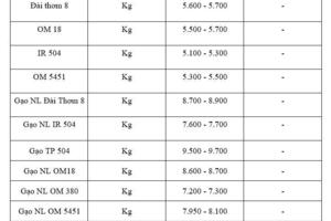 Giá lúa gạo hôm nay ngày 14/11: Gạo xuất khẩu bình ổn, lúa vững giá