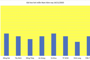 Giá heo hơi hôm nay 14/11/2025: Chững lại trên cả nước