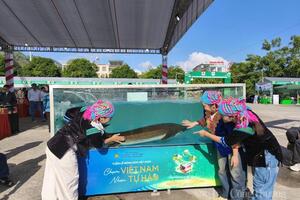 Cá tầm 50kg trưng bày hút khách tại Ngày hội sản phẩm miền núi