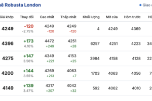 Giá cà phê hôm nay 18/11/2025: Giảm nhẹ ở Lâm Đồng