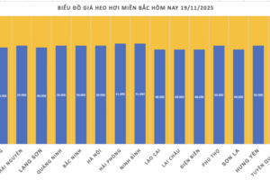 Giá heo hơi hôm nay 19/11/2025: Đồng loạt tăng